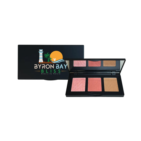 Pro Cheek Palette.png