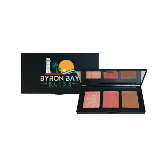 Pro Cheek Palette.png