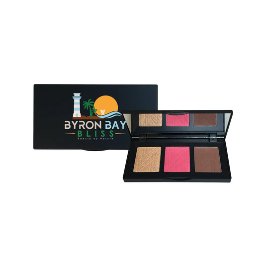 Pro Cheek Palette.png