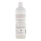 Springbrook Falls with Ginger and Lime extract Body Wash Byron Bay Bliss