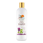 Violet Rose and French Lavender Shampoo Byron Bay Bliss
